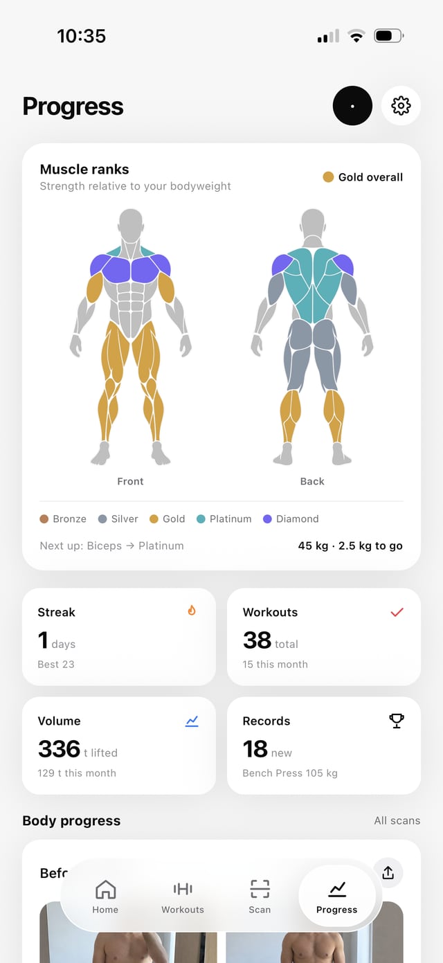 Muscle ranks on the body figure